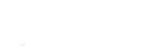 Arctic wolf logo