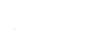 Arctic wolf logo